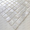 Perlmutt Mosaik fliese für Bad und Dusche Boden und Wand NACARAT BLANC